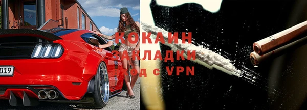 хмурый Алексин