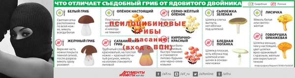 PSILOCYBIN Алексеевка