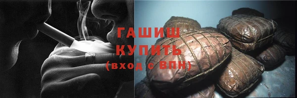 хмурый Алексин