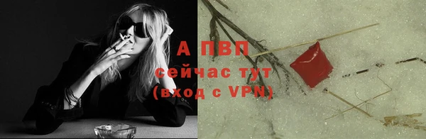 a pvp Алзамай