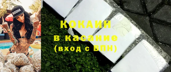 хмурый Алексин