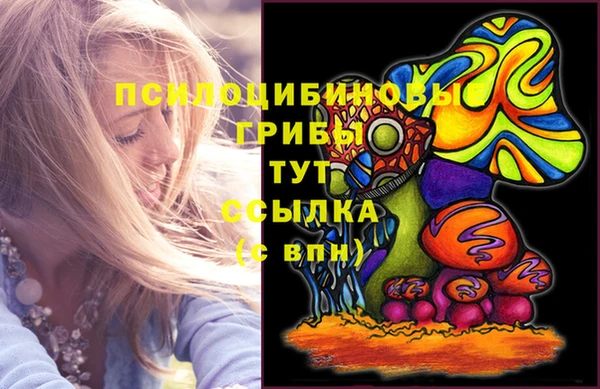 a pvp Алзамай