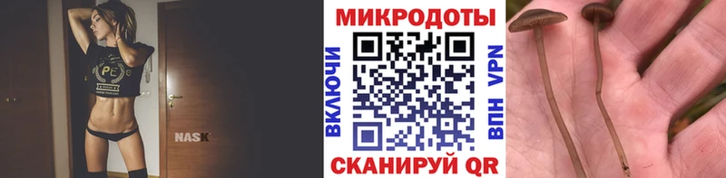 Псилоцибиновые грибы MAGIC MUSHROOMS  Покров 